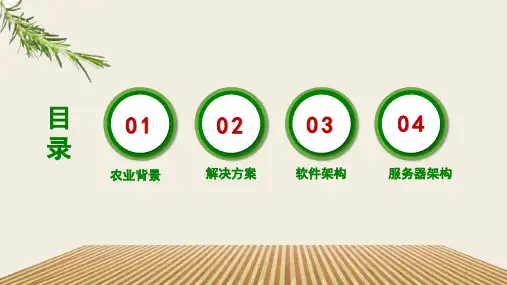 农村金融解决方案PPT课件