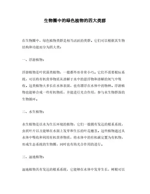 生物圈中的绿色植物的四大类群
