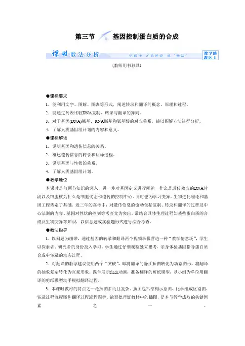 《基因控制蛋白质的合成》教案3