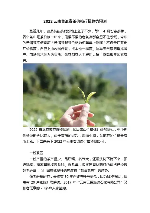 2022云南普洱春茶价格行情趋势预测