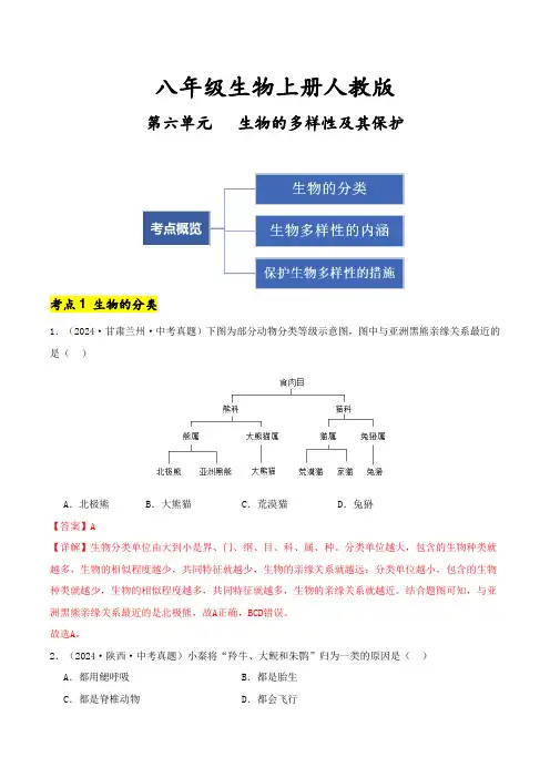 八年级生物上册人教版第六单元 生物的多样性及其保护单元考点卷(解析版)