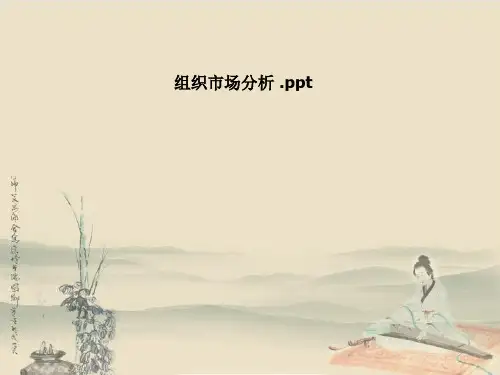 组织市场分析 