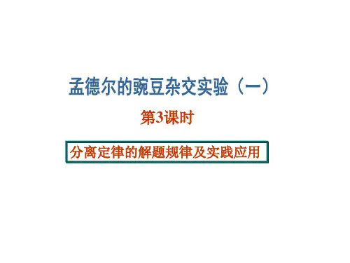 分离定律的解题规律及实践应用