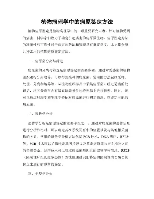 植物病理学中的病原鉴定方法