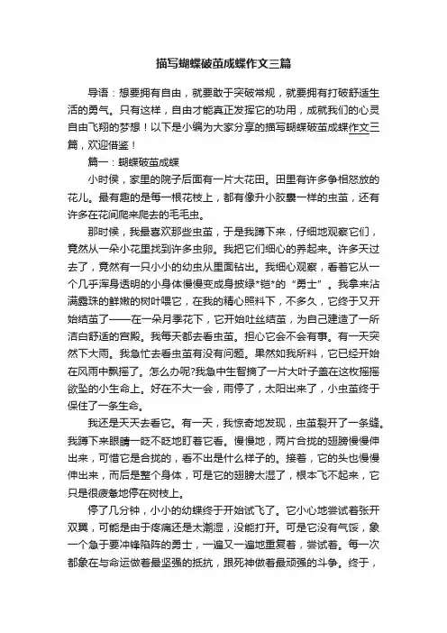 描写蝴蝶破茧成蝶作文三篇