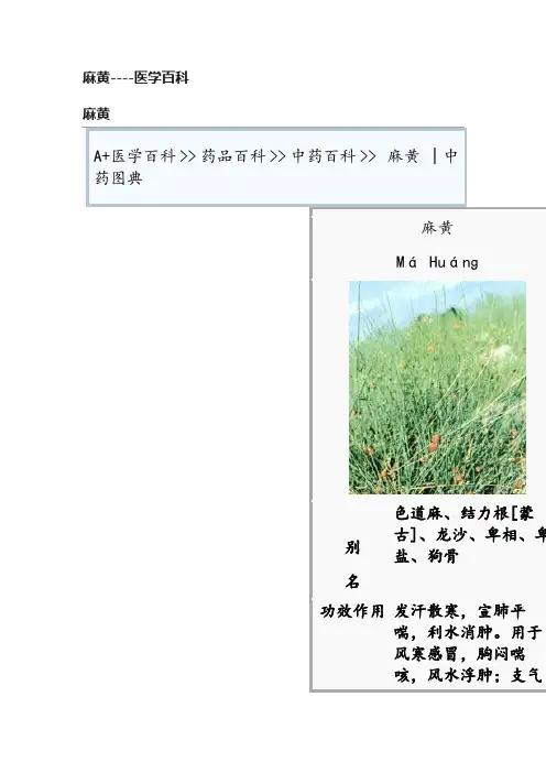 麻黄----医学百科