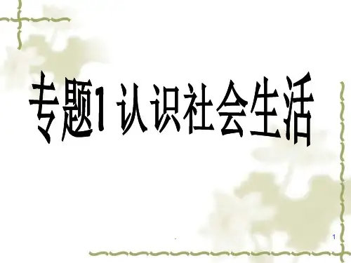 认识社会生活ppt文档