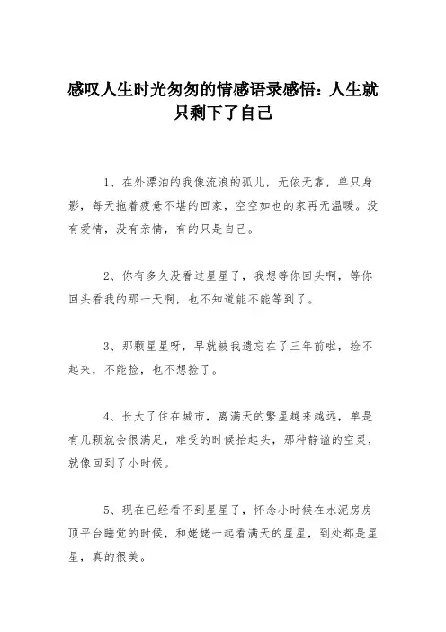 感叹人生时光匆匆的情感语录感悟：人生就只剩下了自己