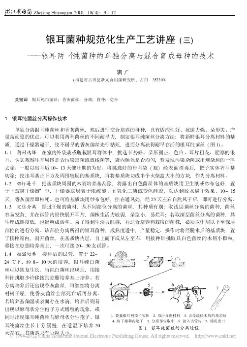 银耳菌种规范化生产工艺讲座_三_银耳两个纯菌种的单独分离与混合育成母种的技术