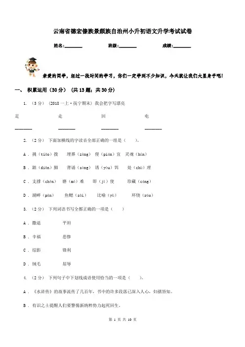 云南省德宏傣族景颇族自治州小升初语文升学考试试卷