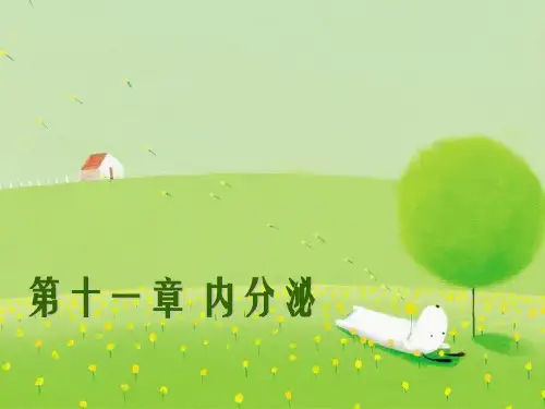 人体解剖学-内分泌幻灯片PPT