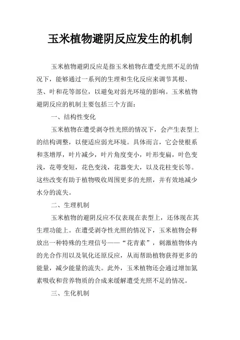 玉米植物避阴反应发生的机制