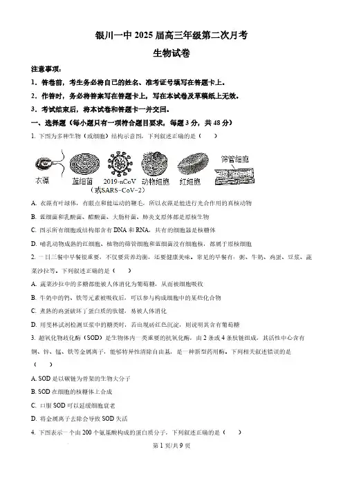 2024-2025学年宁夏银川一中高三上学期第二次月考生物试题及答案