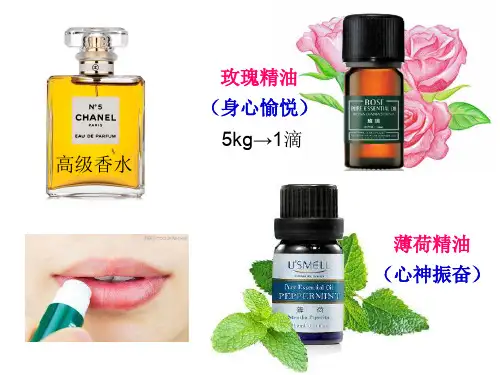 高中生物选修一专题6：课题1《植物芳香油的提取》优质课件(26张)(共26页)