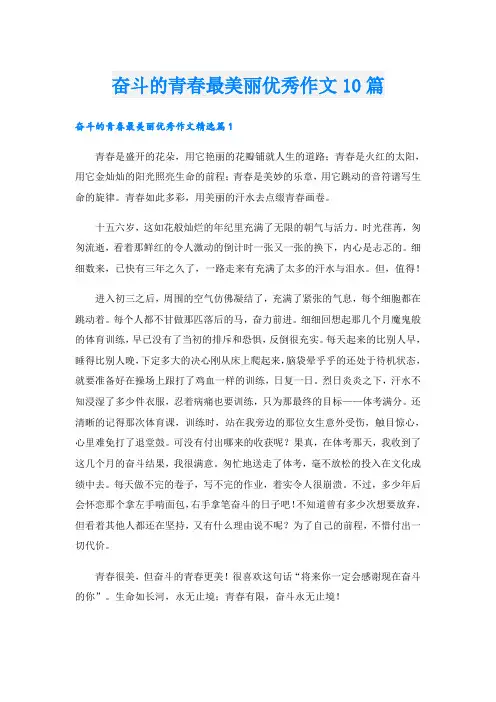 奋斗的青春最美丽优秀作文10篇