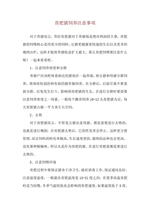 育肥猪饲养注意事项
