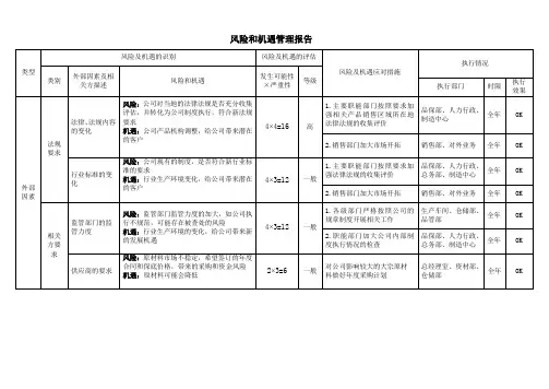 风险和机遇管理报告