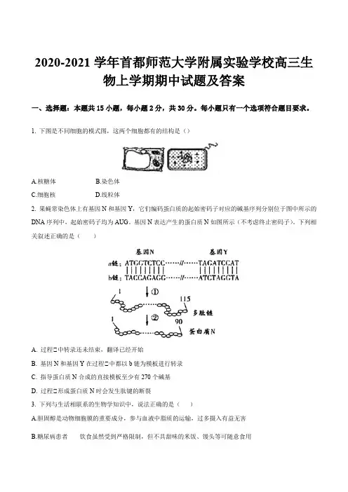 2020-2021学年首都师范大学附属实验学校高三生物上学期期中试题及答案