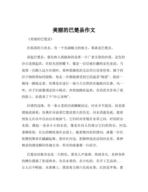 美丽的巴楚县作文