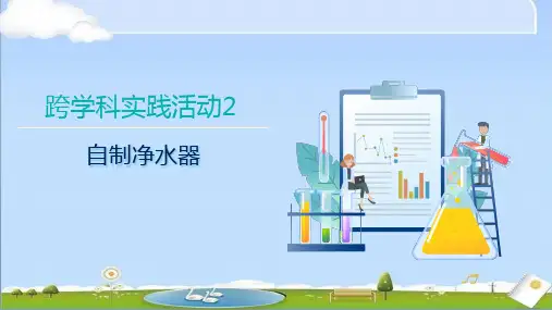 新沪教版九年级上册化学教学课件 跨学科实践活动2 自制净水器