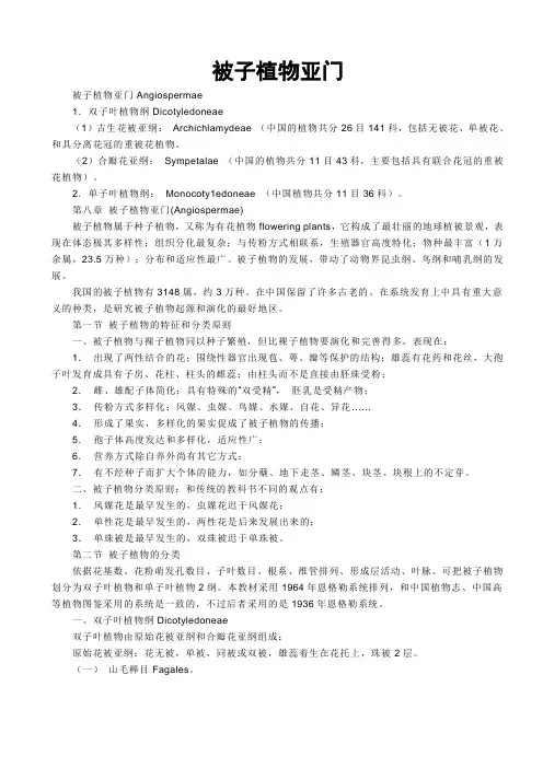 被子植物亚门