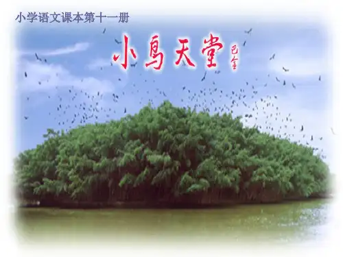 四年级《鸟的天堂》ppt课件