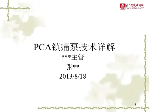 镇痛泵技术最新ppt课件