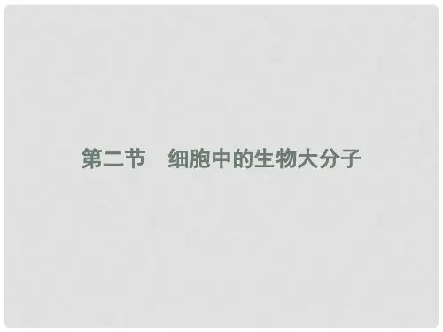 高中生物 第二章 细胞的化学组成 2.2.1 生物大分子的