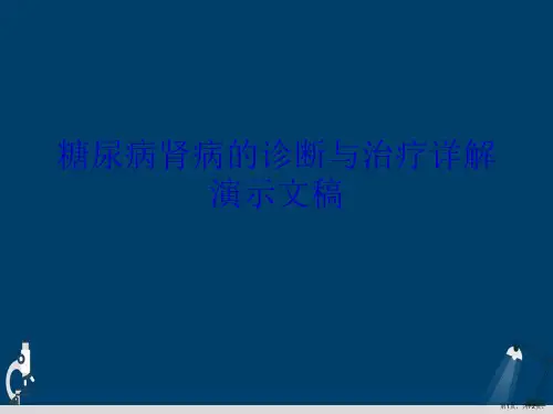 糖尿病肾病的诊断与治疗详解演示文稿