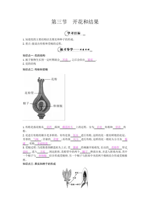 《开花和结果》导学案[1]