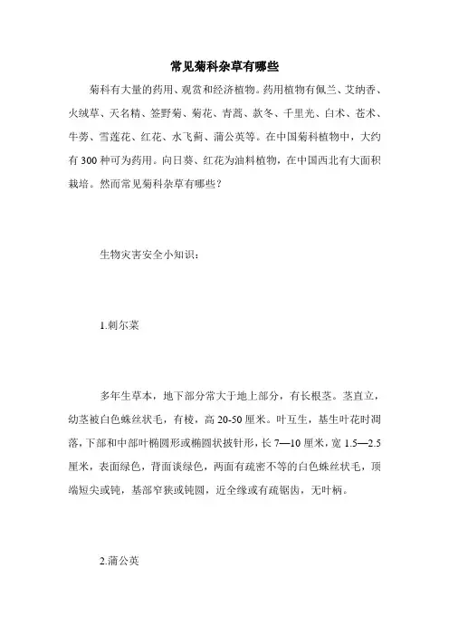 常见菊科杂草有哪些
