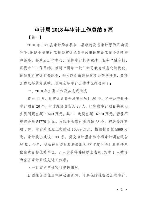 审计局2018年审计工作总结5篇