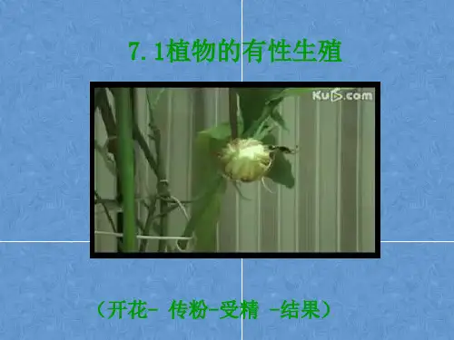 华师大版科学七年级下册7.1.2 开花、传粉 课件