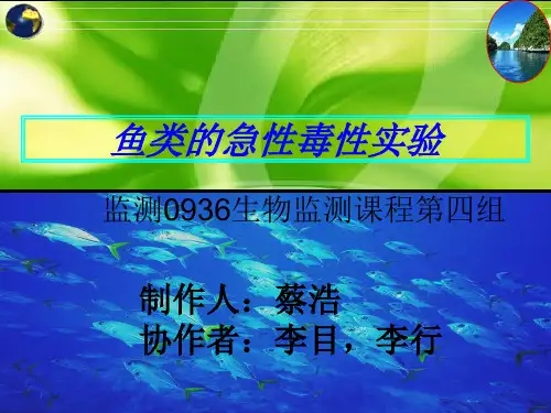 鱼类急性毒性实验