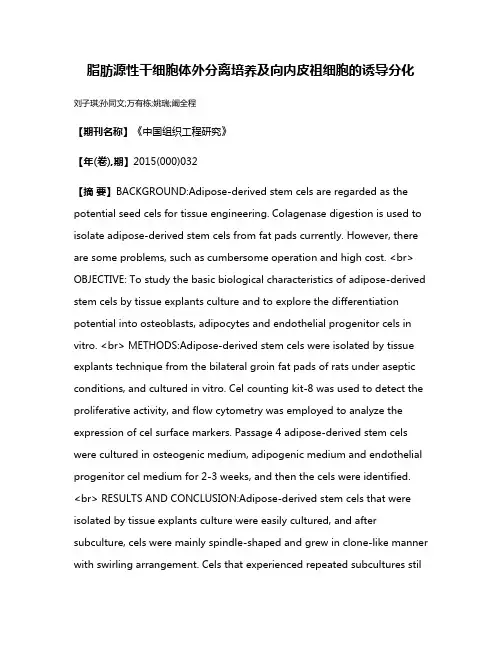 脂肪源性干细胞体外分离培养及向内皮祖细胞的诱导分化