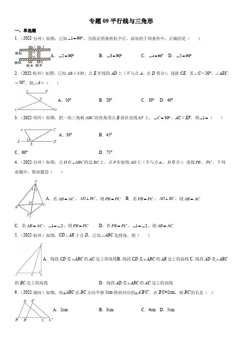 2022年浙江各地数学中考真题(杭州温州金华嘉兴等)按知识点汇编专题09  平行线与三角形(原卷版)