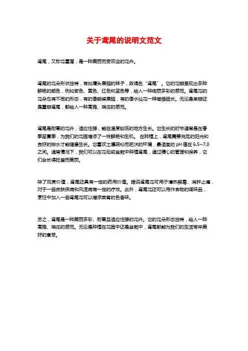 关于鸢尾的说明文范文