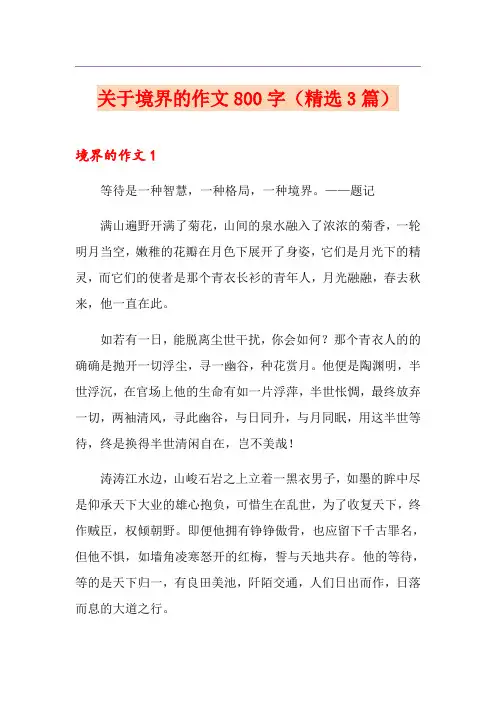 关于境界的作文800字(精选3篇)