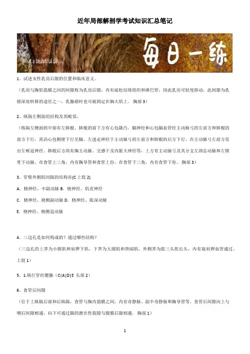 近年局部解剖学考试知识汇总笔记