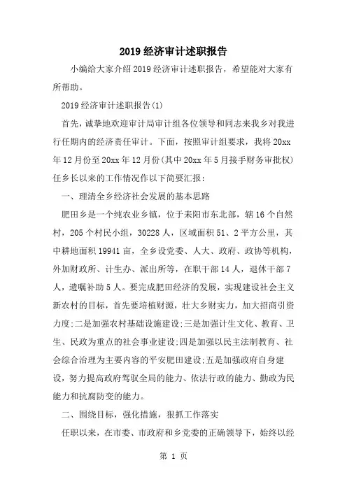 2019年经济审计述职报告-范文资料