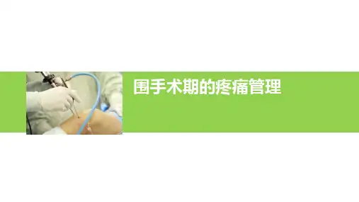 围手术期的疼痛管理ppt