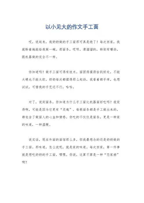 以小见大的作文手工面
