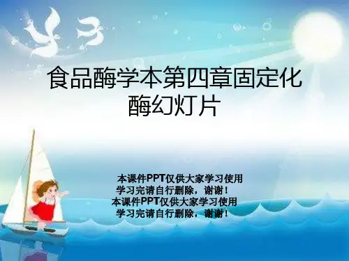 食品酶学本第四章固定化酶幻灯片