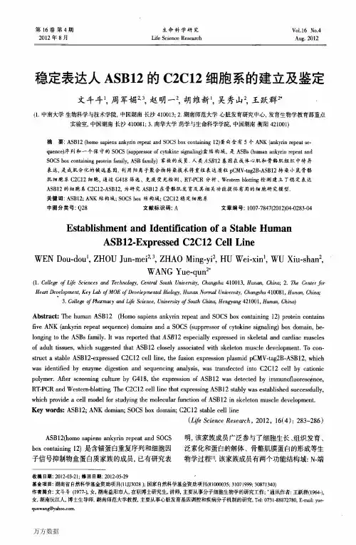 稳定表达人ASB12的C2C12细胞系的建立及鉴定