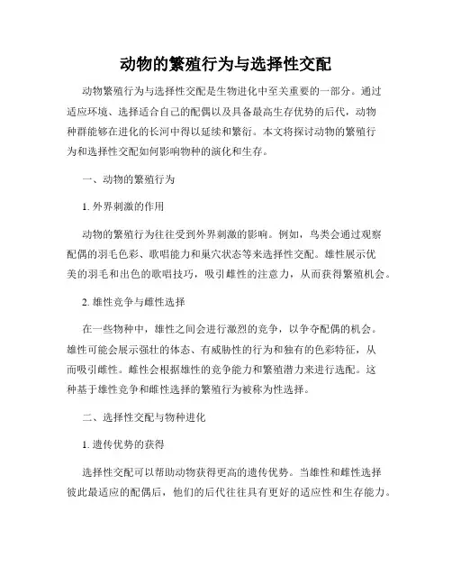 动物的繁殖行为与选择性交配