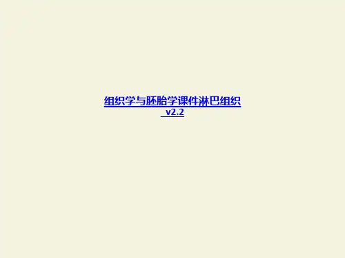 组织学与胚胎学课件淋巴组织