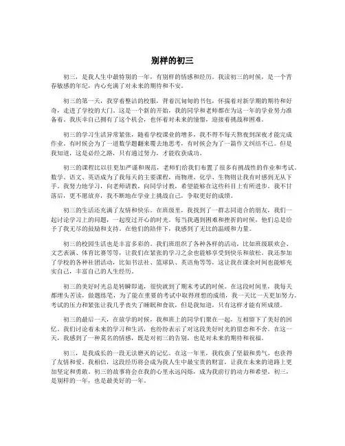 别样的初三