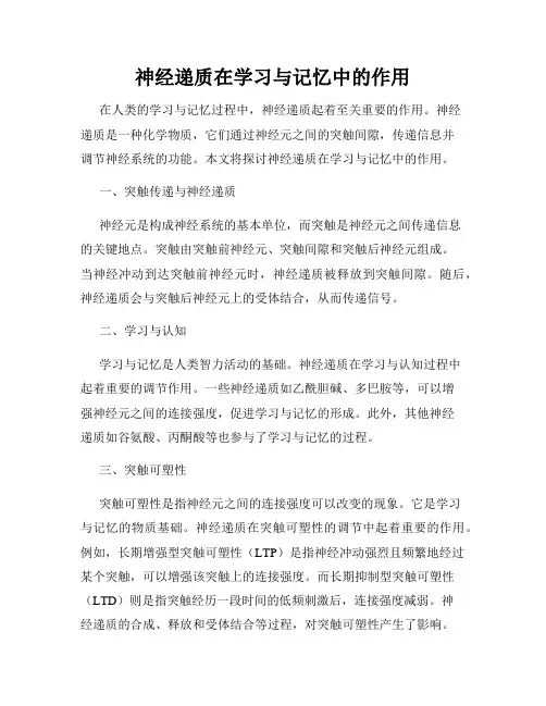 神经递质在学习与记忆中的作用