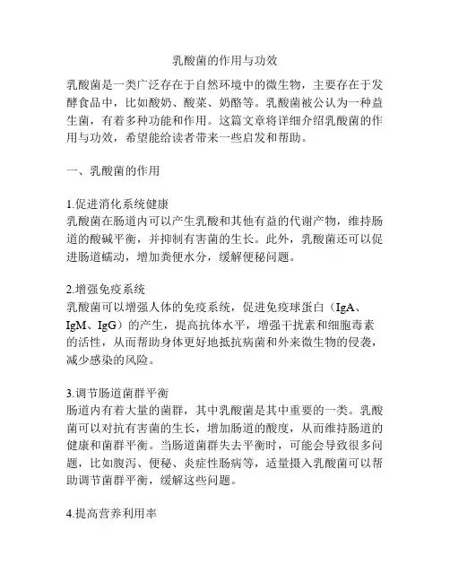乳酸菌的作用与功效