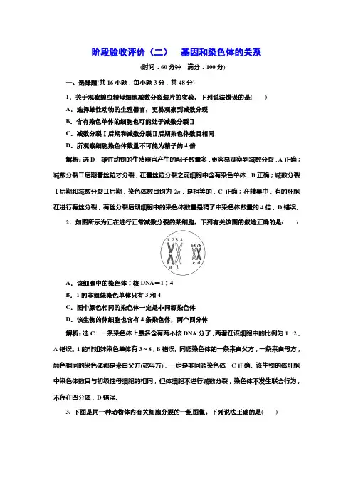 人教版高中生物必修2阶段验收评价(二)基因和染色体的关系含答案